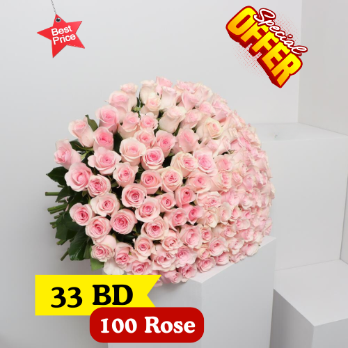 100 Pink Roses