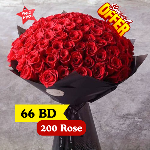 200 Roses bouquet large 