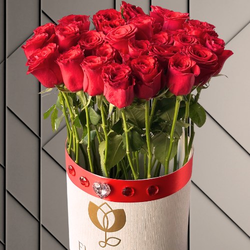 Scarlet Signature Box