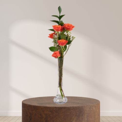 Single Orange 