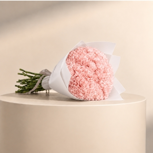 10 Pink Carnation Bouquet