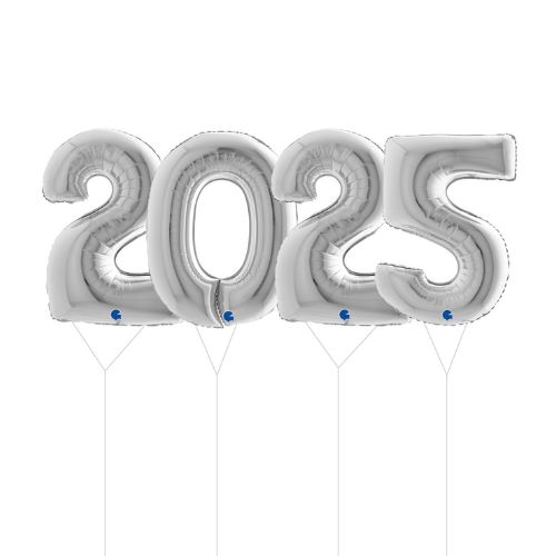 Silver 2025 numbers new year