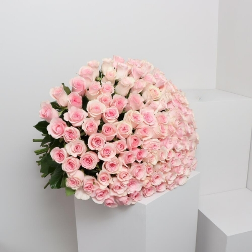 100 Pink Roses