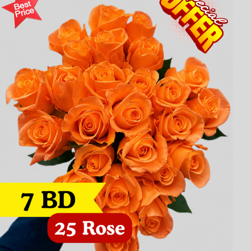 25 Orange rose