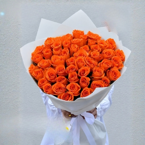 50 orange rose 