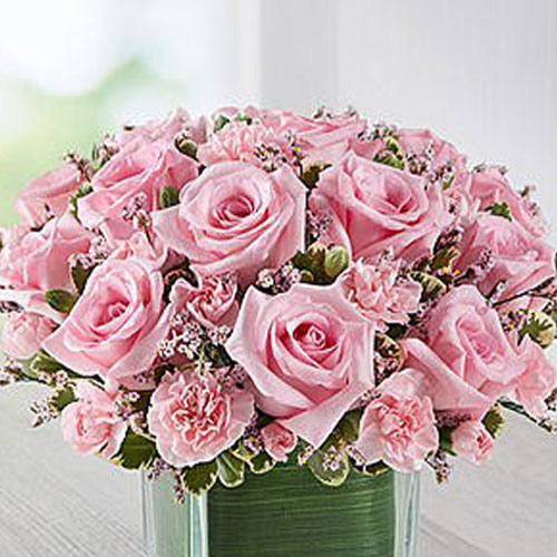 Cubical Pink Roses