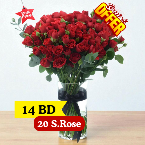 20 baby red roses in vase 