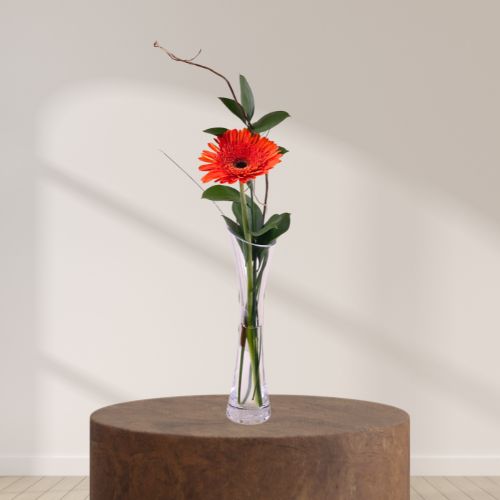 Orange Blossom 