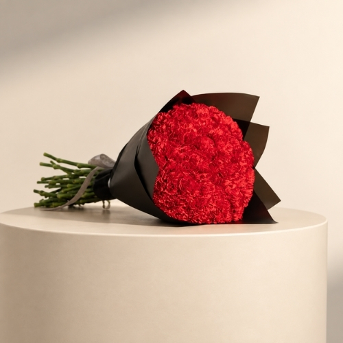 10 red carnation bouquet 