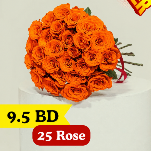 25 Orange rose 