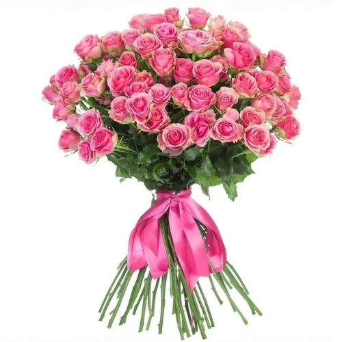 15 Pink S.Rose no wrapping