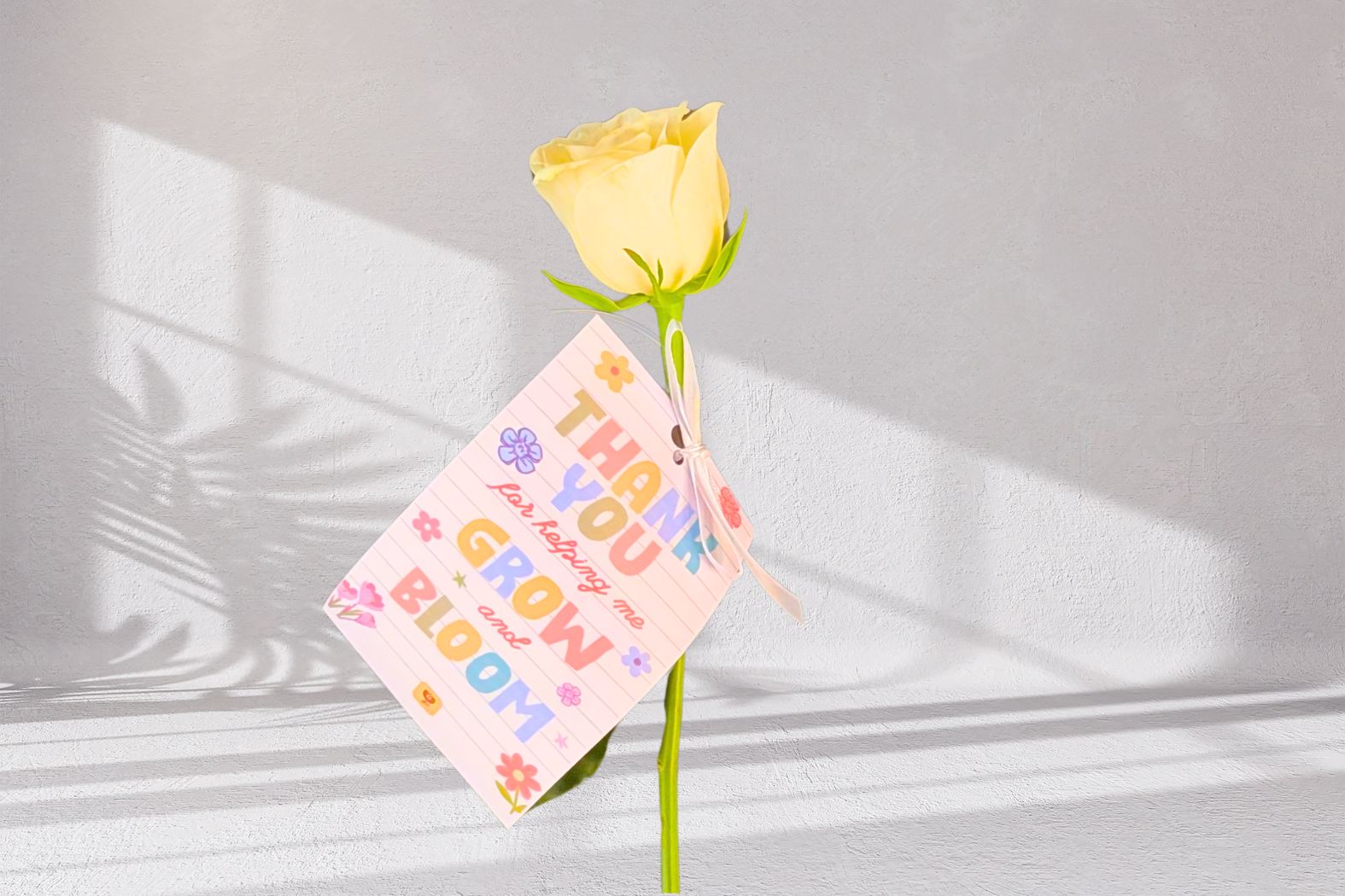 Elegant Teacher's Rose